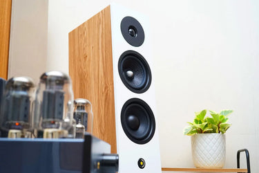 Davis Acoustics Krypton 6 Blanc - EasyLounge - 15