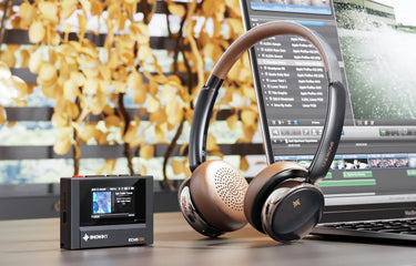 FiiO Snowsky Anytime Noir - EasyLounge - 5