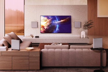 Sony 65 Bravia 8A - EasyLounge - 21