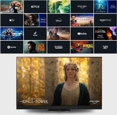 Panasonic TV-55Z95B - EasyLounge - 23