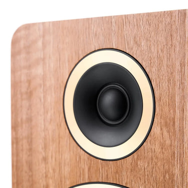 Argon Audio Fenris Active A55 Noyer - EasyLounge - 6