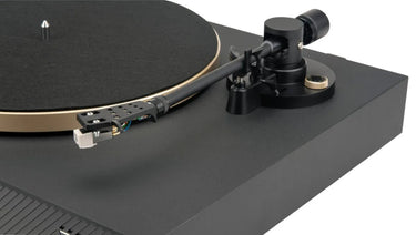 JBL Spinner BT Gold - EasyLounge - 4