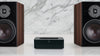 Bluesound Powernode Noir (2021) - EasyLounge - 13