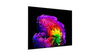 LG Electronics OLED97G6 - EasyLounge - 16