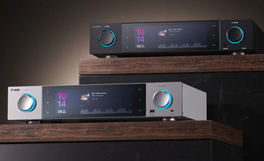 FiiO S15 Silver - EasyLounge - 10