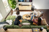 Klipsch Flexus Sub 100 - EasyLounge - 15