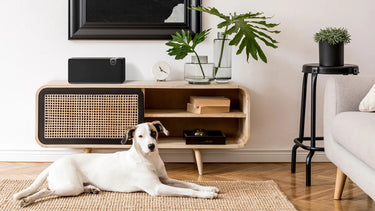 Klipsch The One+ Noir mat - EasyLounge - 10