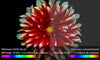 Easylounge OLED77W7V - EasyLounge - 16