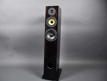 Davis Acoustics Courbet N°7 Ébène laqué - EasyLounge - 6