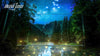 TCL 98C855 (98C89B) - EasyLounge - 16