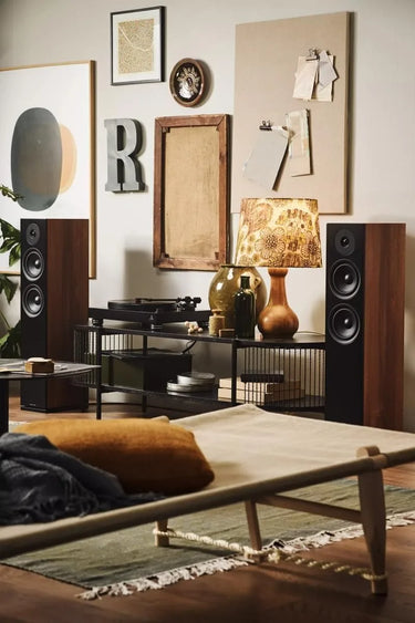 Argon Audio Forus 55 Noyer - EasyLounge - 6
