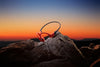 Shokz OpenSwim Pro Rouge - EasyLounge - 26