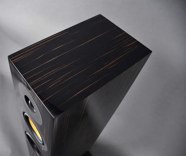 Davis Acoustics Courbet N°7 Ébène laqué - EasyLounge - 7