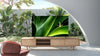 TCL 50P731 - EasyLounge - 6
