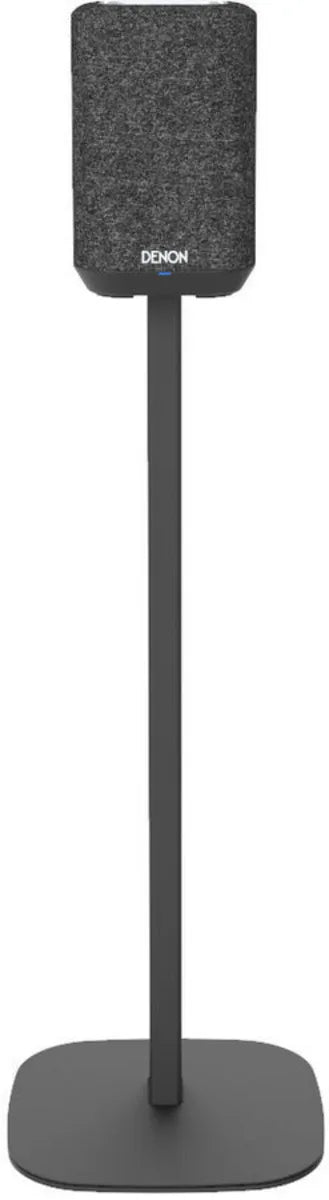 Cavus Pied d