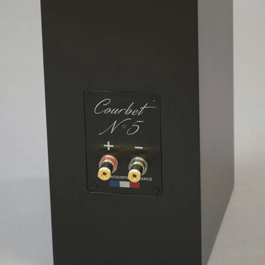 Davis Acoustics Courbet N°5 Noir Mat - EasyLounge - 5