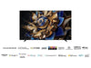 TCL 115X955 Max - EasyLounge - 12