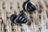 FiiO FH5S Noir - EasyLounge - 5