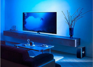 Philips Fidelio TAFW1 - EasyLounge - 8