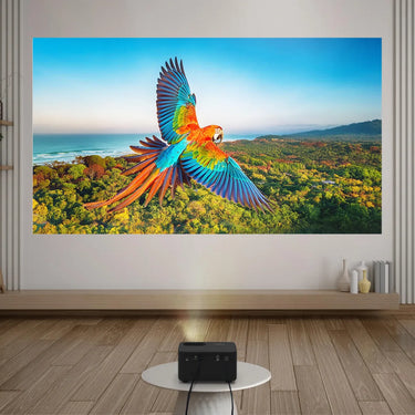 Optoma Photon Life PK31 - EasyLounge - 9