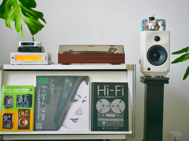 FiiO TT11 - EasyLounge - 5