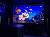 Hisense C2 Ultra + Pied C1 (SG8H) - EasyLounge - 27