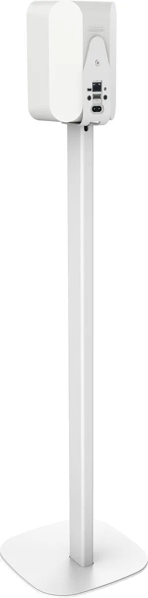 Cavus Pied d