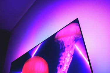 Philips 77OLED807 - EasyLounge - 19