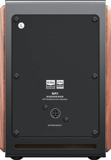 FiiO SA1 Noir - EasyLounge - 6