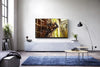 Panasonic TX-55HZ1500E - EasyLounge - 18
