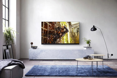 Panasonic TX-55HZ1500E - EasyLounge - 18