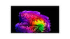 LG Electronics OLED83G6 - EasyLounge - 13