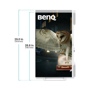 BenQ Entertainment EW3290U - EasyLounge - 10
