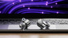 FiiO FD15 Silver - EasyLounge - 10