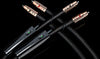 Audioquest Pegasus RCA (0,6 m) - EasyLounge - 13