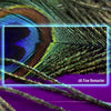 Panasonic TV-75W95BEG - EasyLounge - 20