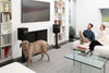 Martin Logan Foundation B2 - EasyLounge - 4