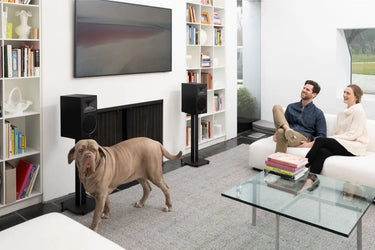 Martin Logan Foundation B2 - EasyLounge - 4