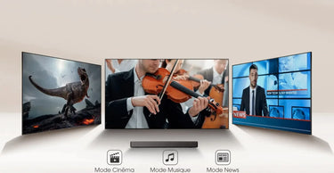 Hisense HS2100 - EasyLounge - 18