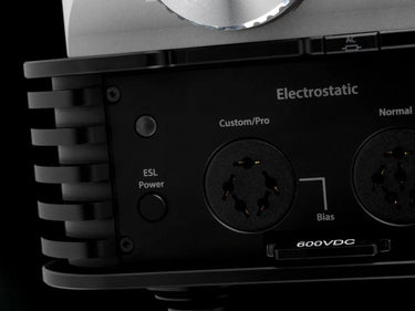 ifi Audio iCAN Phantom - EasyLounge - 13