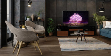 LG Electronics OLED48C1 - EasyLounge - 4