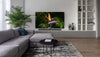 TCL 65X10 - EasyLounge - 20