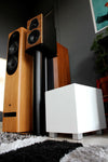 REL Acoustics T-Zero MKIII Blanc - EasyLounge - 3