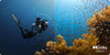 Awol Vision LTV-3500 Pro - EasyLounge - 6