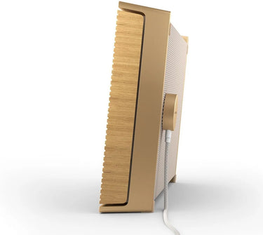Bang Olufsen Beosound Level Gold Tone - EasyLounge - 6