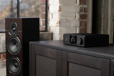 Rotel DX-5 Noir - EasyLounge - 9