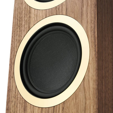 Argon Audio Forte A55 WiFi Noyer - EasyLounge - 5