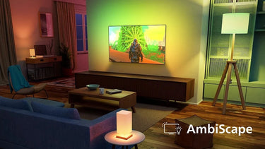 Philips 48OLED911 - EasyLounge - 11