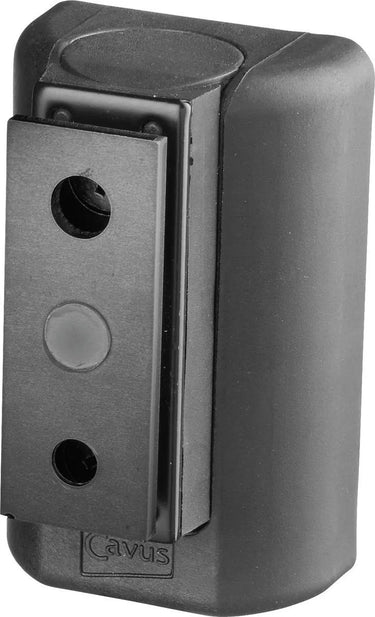 Cavus Support mural Noir pour Bluesound Pulse Flex 2i - EasyLounge - 2