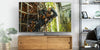 Panasonic TX-75GX942E - EasyLounge - 15